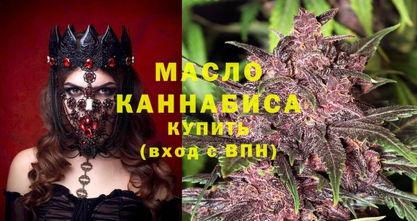 индика Кинешма