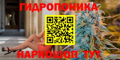 ешки Волжск