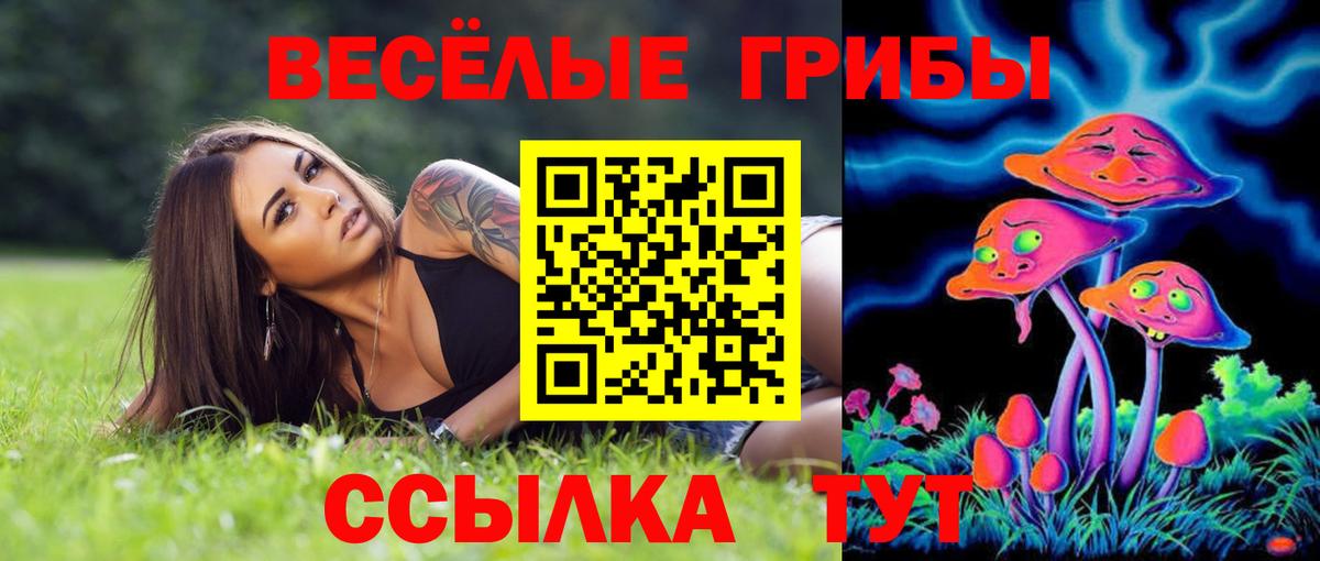 Псилоцибиновые грибы мухоморы Кинель