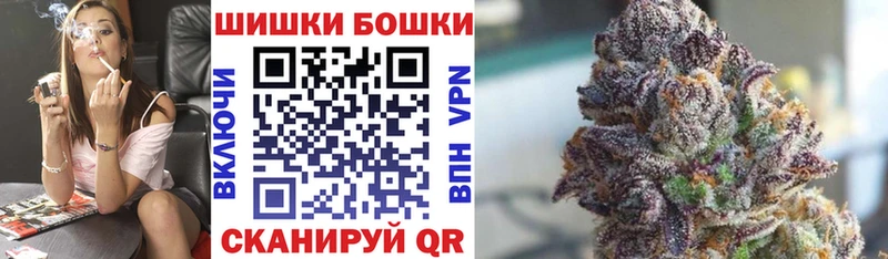 Бошки Шишки планчик  Кинель 